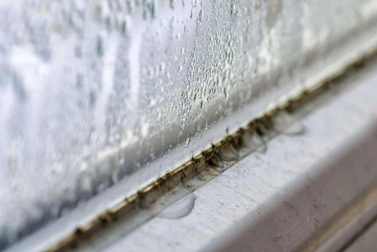 safe and sound windows guide about condensation on windows