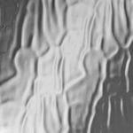 Obscure Glass & Frosted Glass Options